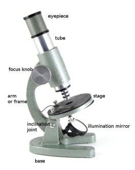 Perfect student -Microscope